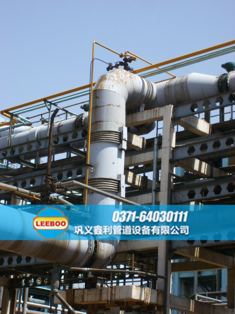 雙鉸鏈<a href=http://www.zd1860.com target=_blank class=infotextkey>補(bǔ)償器</a>圖